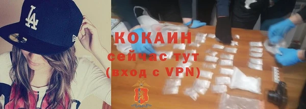 Альфа ПВП Богородицк