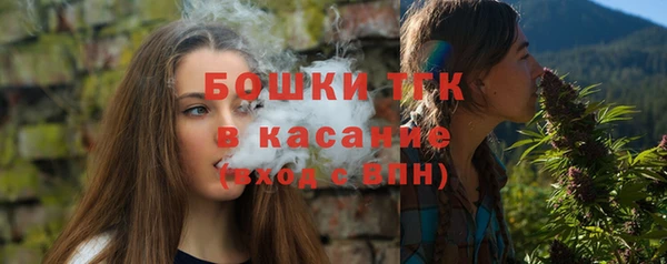 амф Богородск